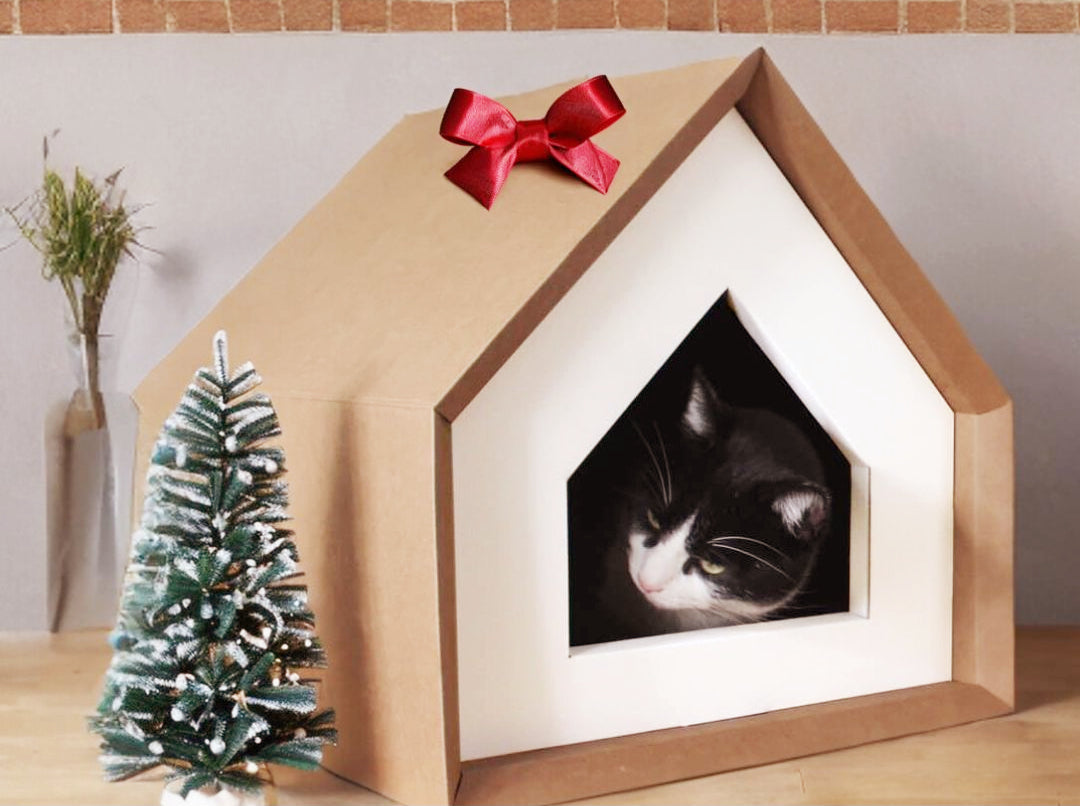 Casetta Design con Tiragraffi per Gatti