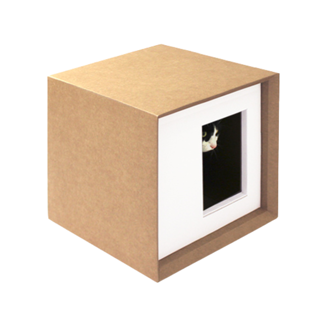 Casetta Cubo Design con Tiragraffi per Gatti